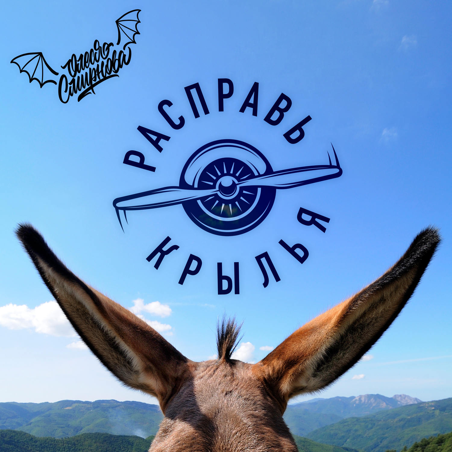 Обложка релиза «Расправь крылья»
