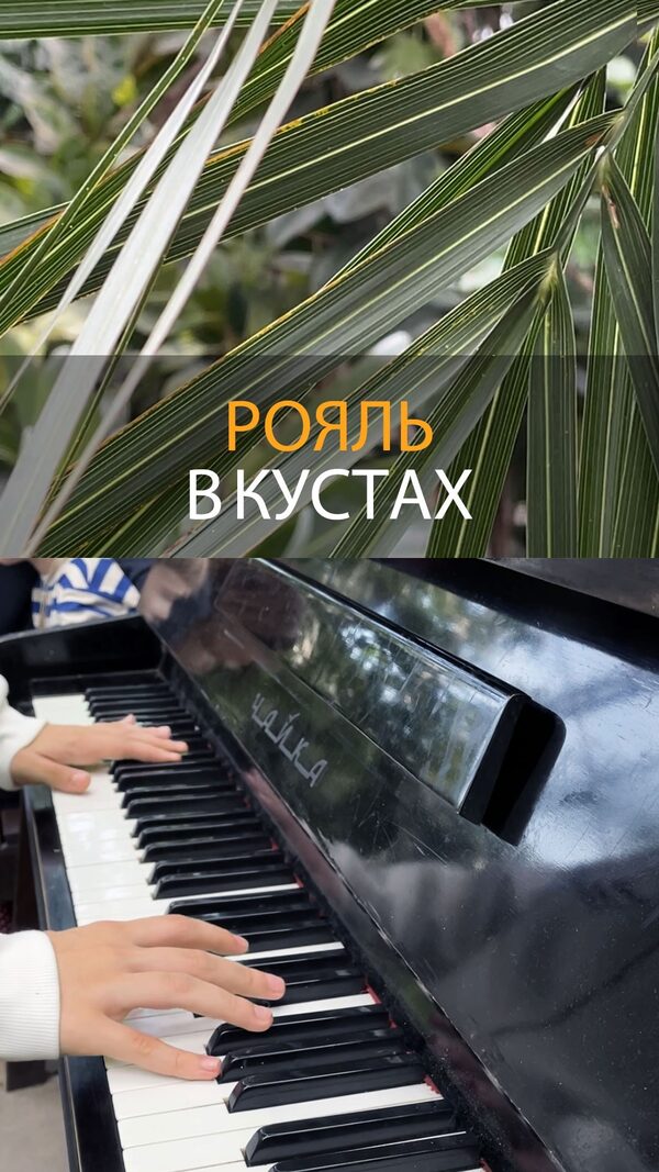 Оранжерея Таврического сада — 53 437 просмотров