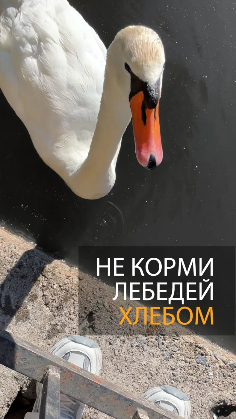 Фотография 1 к публикации Олеси Смирновой
